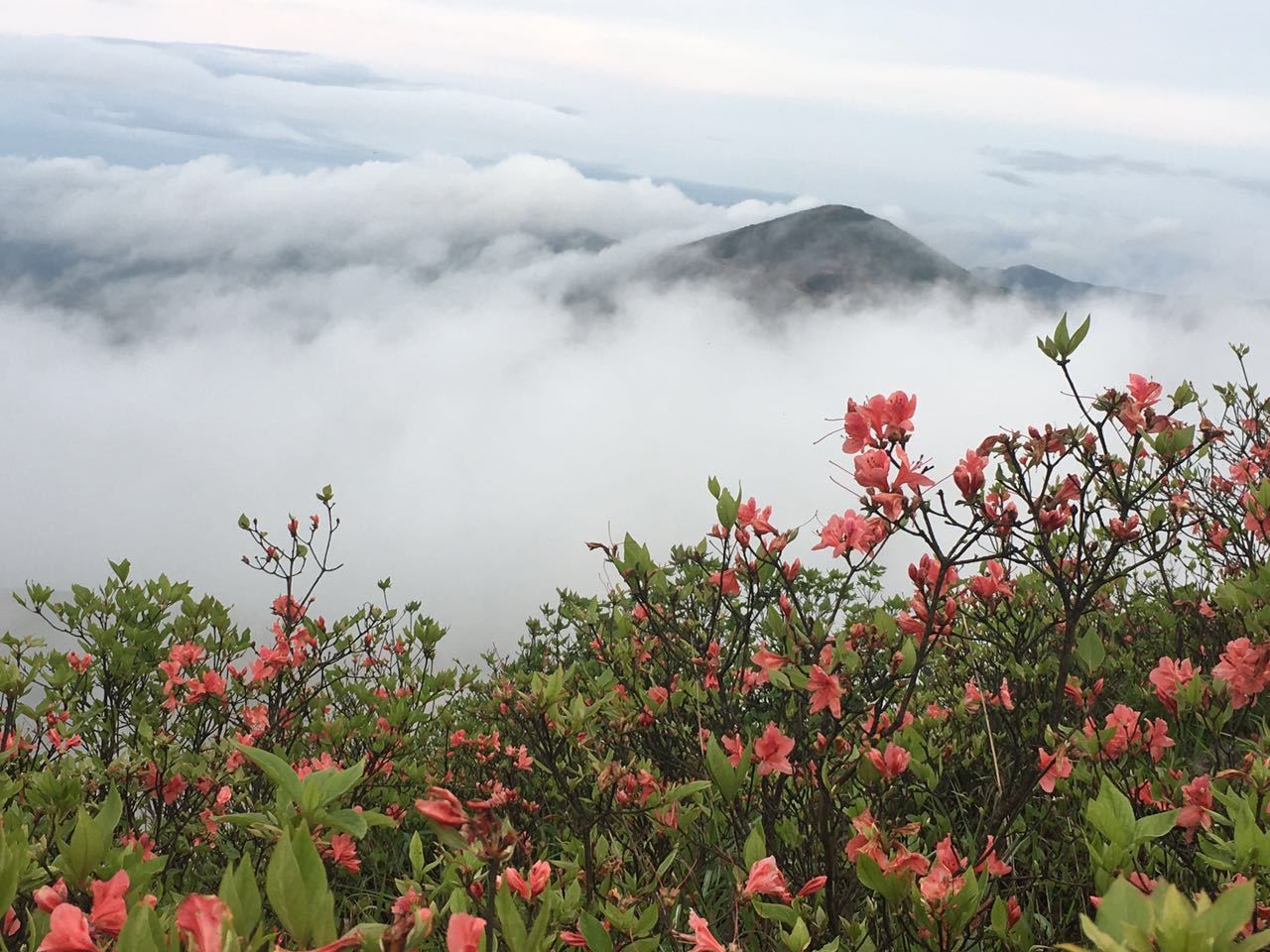 湖(hú)南景思文(wén)化旅遊有(yǒu)限公(gōng)司,長(cháng)沙理(lǐ)論研究,長(cháng)沙規劃設計,建築施工(gōng),景區(qū)開發,生态旅遊